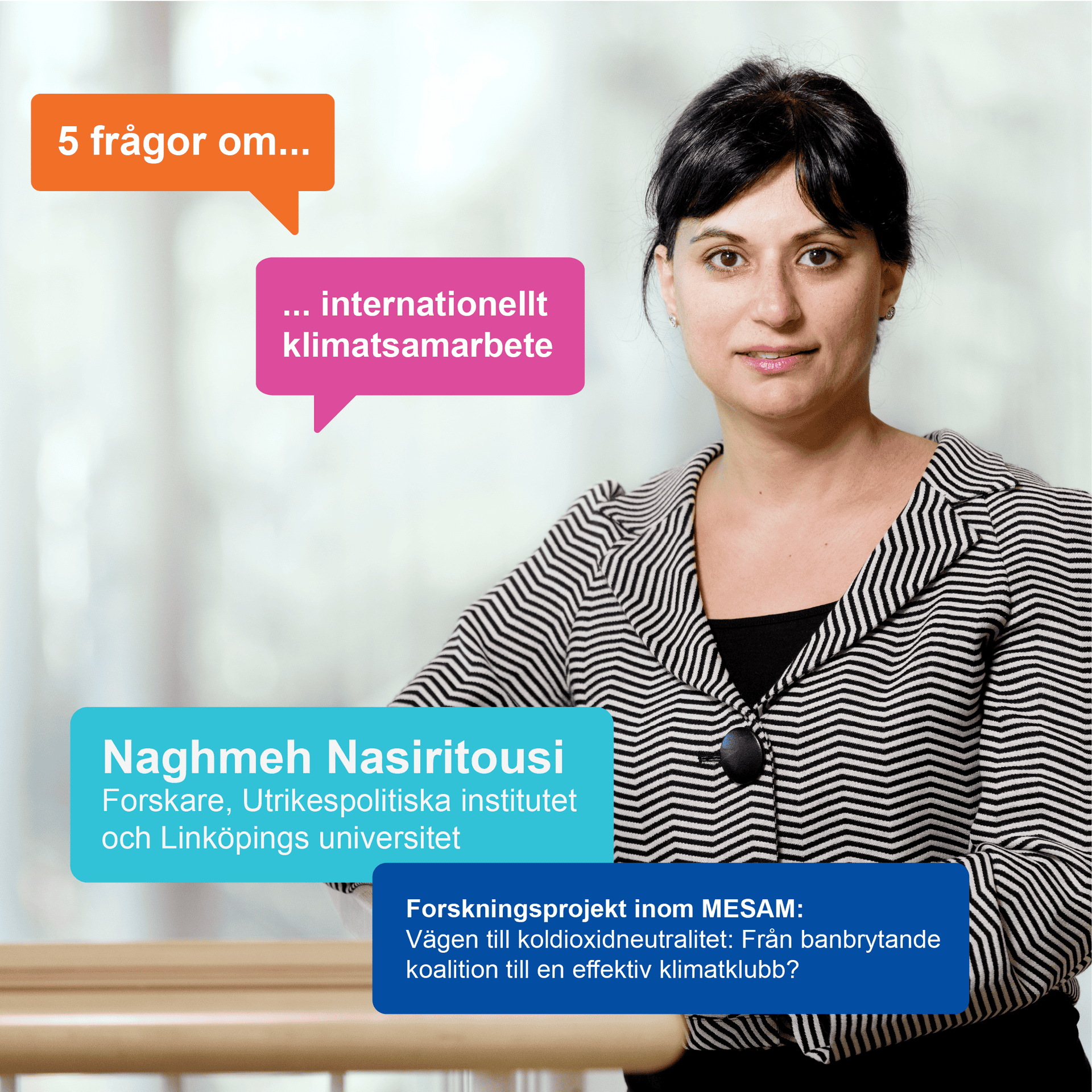 Fem frågor till Naghmeh Nasiritousi om internationellt klimatsamarbete