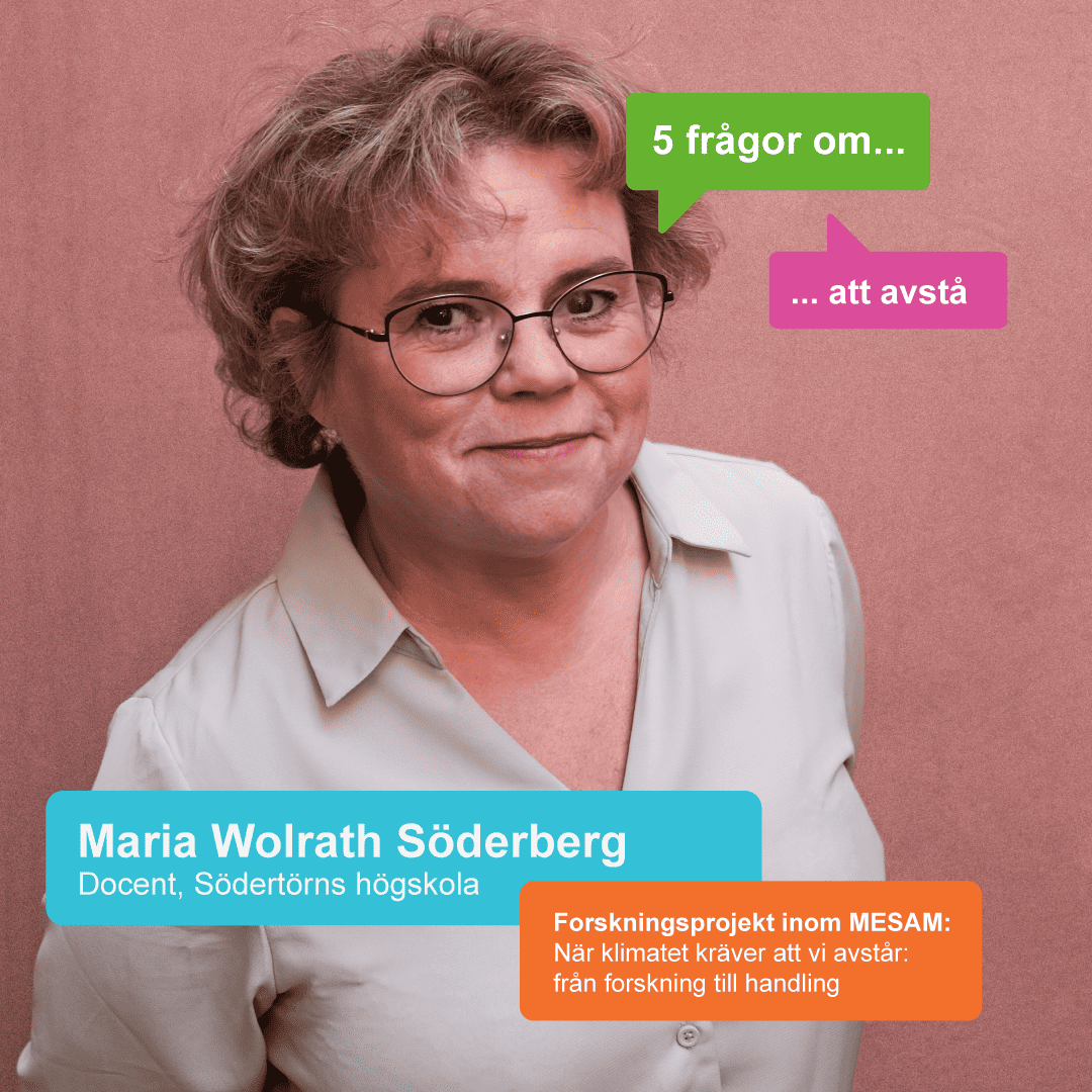 Fem frågor till Maria Wolrath Söderberg om att avstå