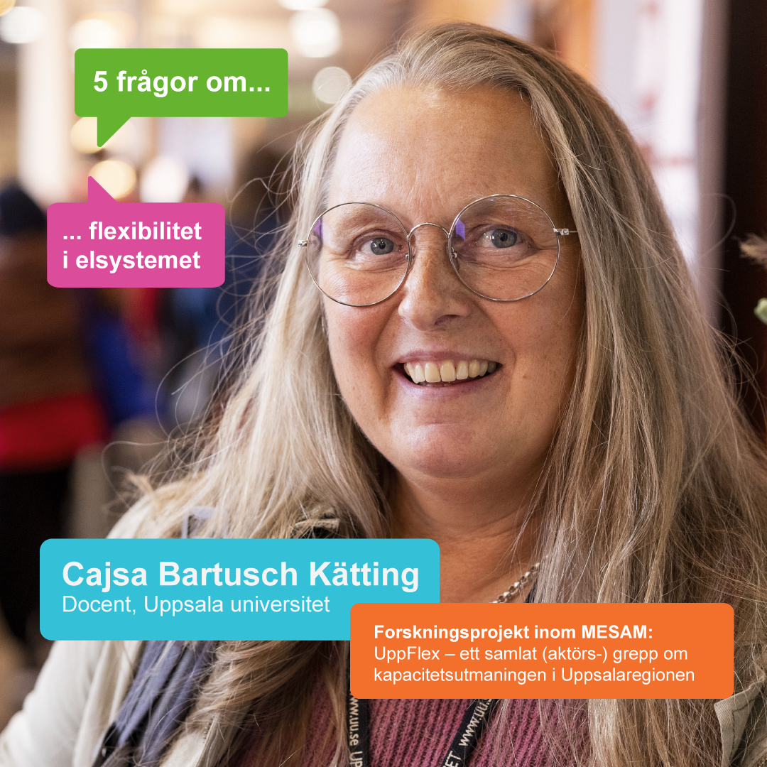Fem frågor till Cajsa Bartusch Kätting om flexibilitet i elsystemet